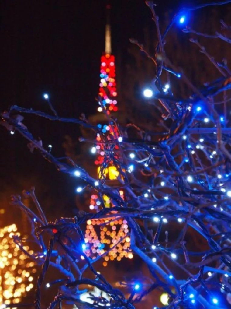 反省しています。。。