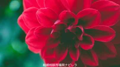 結婚相談所福岡　ナビレラ「待つより行動！お見合いお申込みの『コツ』」-2