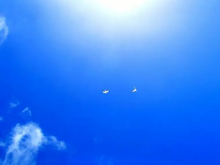 幸先よい2019年になりそうです