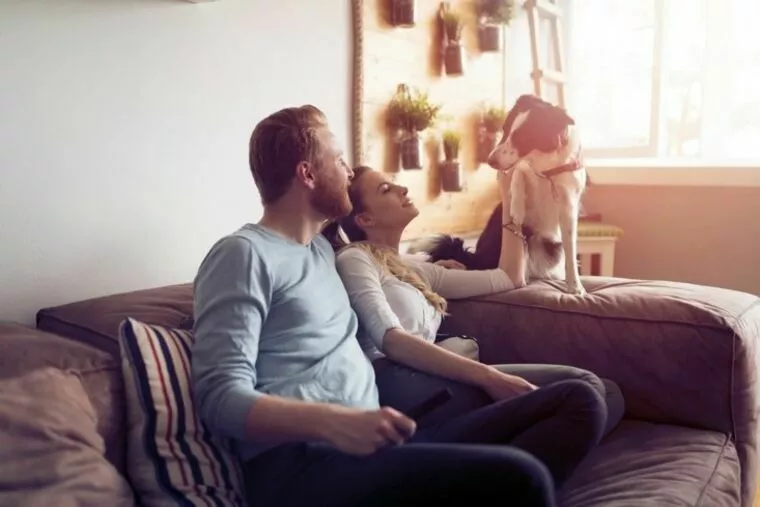 婚活においてペットがいると不利？その理由と打開策を紹介