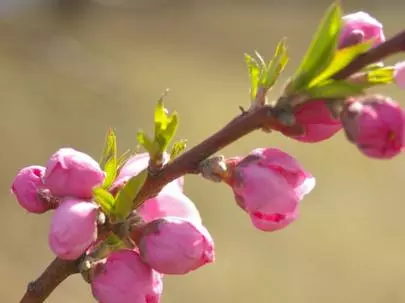 ウイン虎ノ門結婚相談所「基本は、せめなきゃ!!! 程よくね。」-2