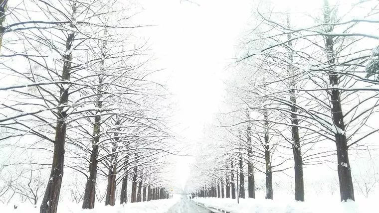仕事が忙しいあなたこそ、今、婚活はじめましょう！