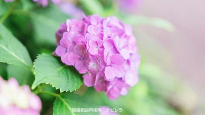 結婚相談所福岡　ナビレラ「結婚相談所で一度お別れした人と復縁できるのか？」-2