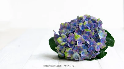 結婚相談所福岡　ナビレラ「婚活断捨離してますか？」-2