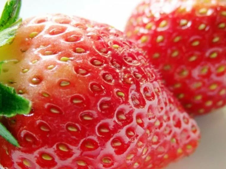 1日、イチゴはいかが？