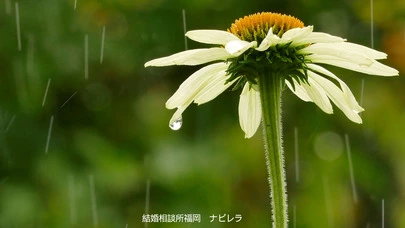 結婚相談所福岡　ナビレラ「焦りは禁物！自爆女子になっていませんか？」-2