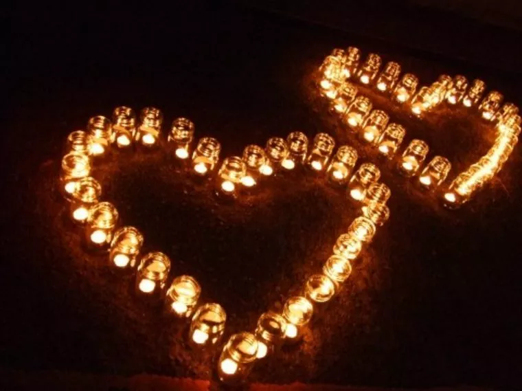 元を取らなきゃ損ではありません