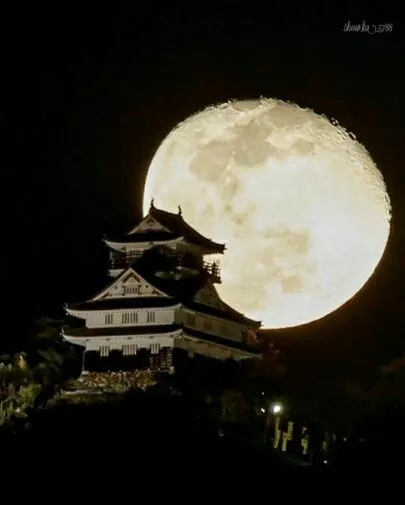 みくる結婚相談所「実は今夜が満月なのねん　ハーベストムーン」-2