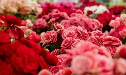 結婚相談所　縁マリッジ「約束の時間を守ることが信頼を築く鍵！～婚活実践法！」-2