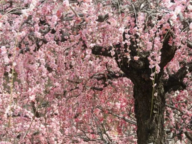 春は別れと出会いの季節