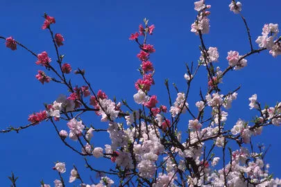 ウイン虎ノ門結婚相談所「東京で自分の婚活条件が良すぎて決まらないことがある!!!」-3