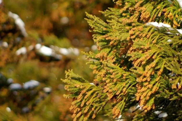 その肌荒れ、諦めないででできることからやってみませんか？