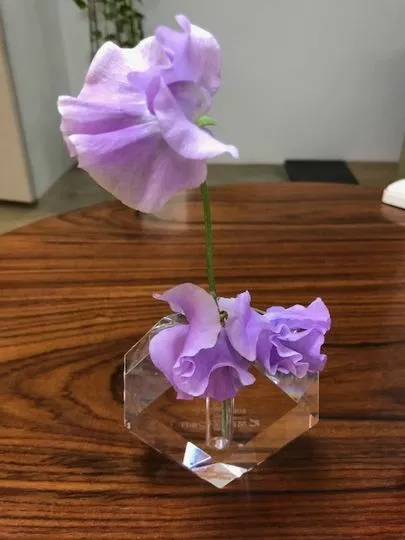 ブライトウェディング「白いスイトピーでプロポーズを！」-2