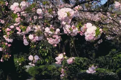 ウイン虎ノ門結婚相談所「婚活は、考え過ぎは、駄目です。」-2