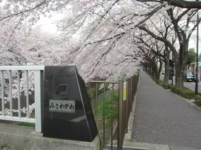 グッドラックステージ「もうすぐ「春」ですね」-2