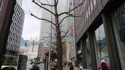 結婚相談所カインド「定例会のようなハッカソンなう。」-2