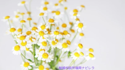 結婚相談所福岡　ナビレラ「30代女性♡ナビレラと二人三脚婚活スタート」-2