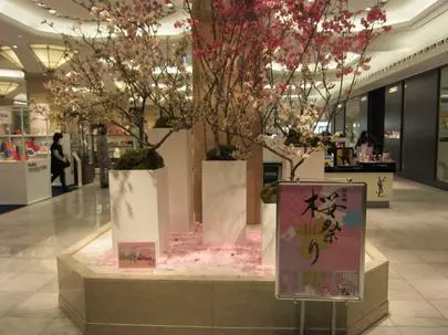 グッドラックステージ「「元気」な婚活」-2
