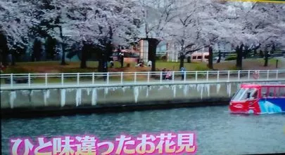 ベルMe「お花見シーズンデート」-2