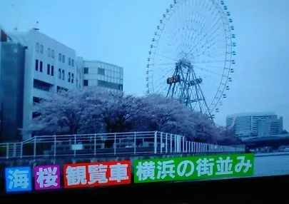 ベルMe「お花見シーズンデート」-3