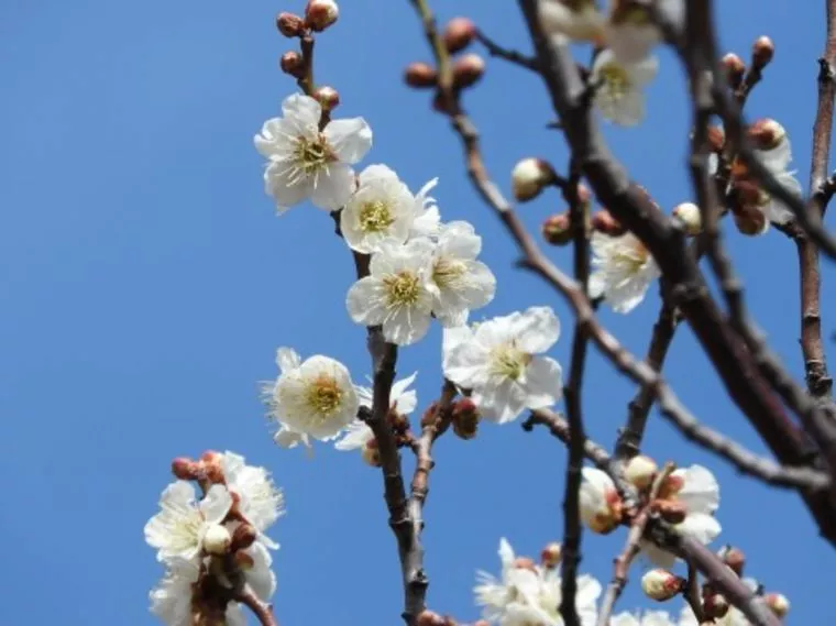 響きのいい元号ですね～