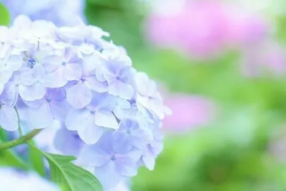 marriage consult HARMONIE「バチェラー🌹season６から学べること✨」-5