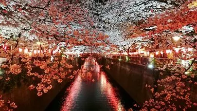 良縁コンシェルジュ町田「インスタみたいに写真投稿でアピールもできます」-2