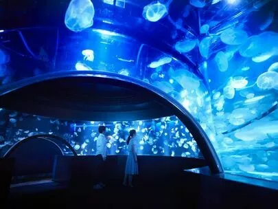 ペアマリッジ「【2025年版】夏デートおすすめスポット3選/番外編あり」-4