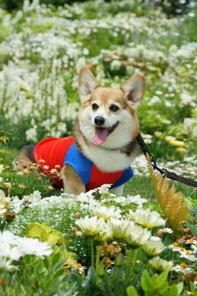 マリッジ   ステージ「婚活成功のカギは、やっぱり「笑顔」でした！」-2
