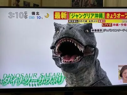 バディ ネット「ジャングリア沖縄、ついにオープン！」-2