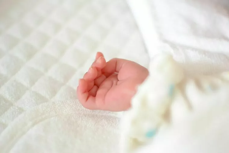 子どもを望む婚活