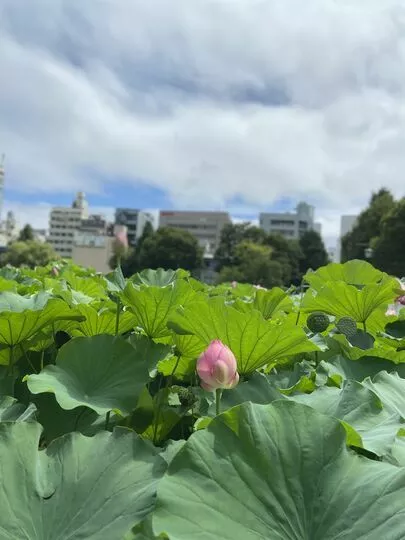 ESCALIERS　エスカリエ「おすすめ仮交際デート①」-2