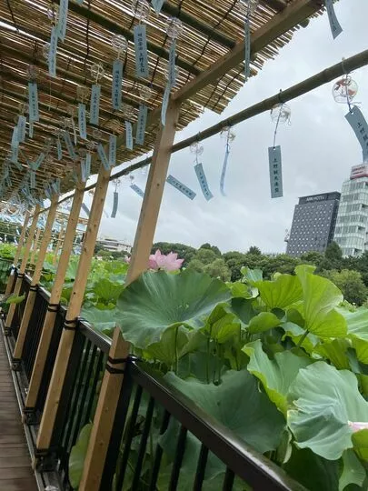 ESCALIERS　エスカリエ「おすすめ仮交際デート①」-3