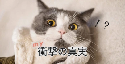 Emore婚「結婚できる方法教えます！」-2