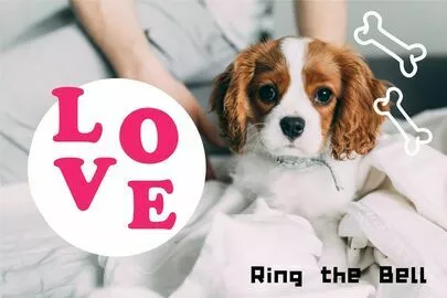 Ring the Bell 結婚相談所「恋活や婚活でプロフィールが長すぎる男女がヤバイ理由とは？」-2