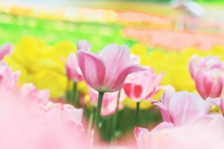 男の皆さん、おしっこ座ってしていますか？