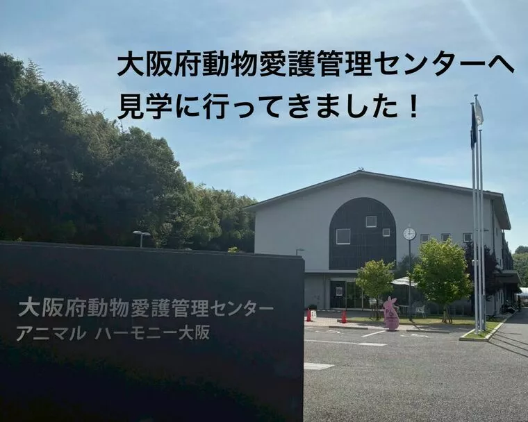 大阪府動物愛護管理センターへ見学に行ってきました🐶🐱