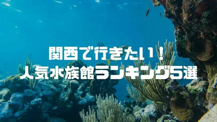 【関西で行きたい！人気水族館ランキング5選】
