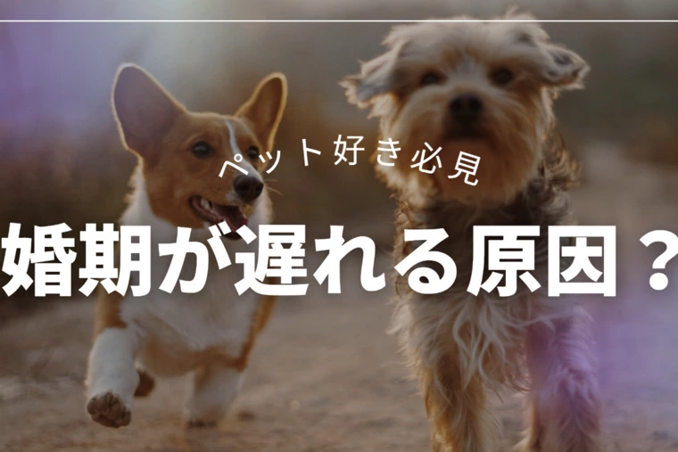 ペットを飼うと婚期が遅れる？！ってホント？