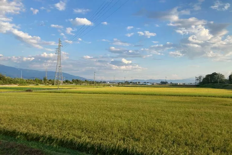 ご当地婚活事情（オーストラリア編）
