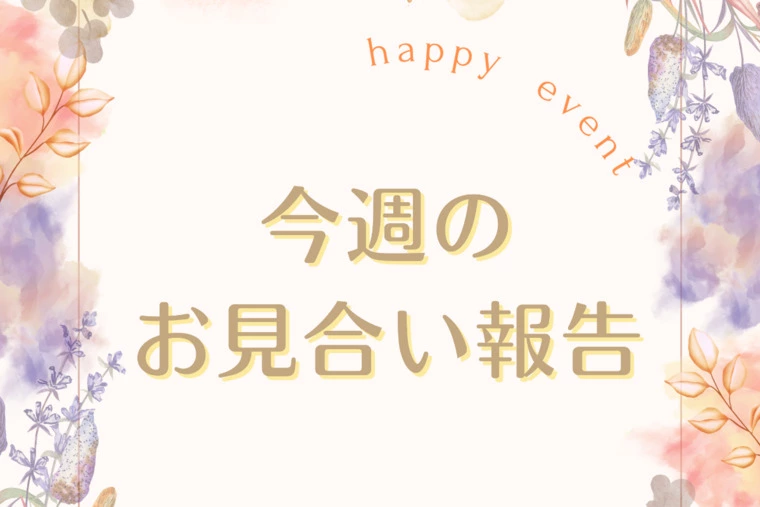 婚活状況！9月2週目お見合い報告✨