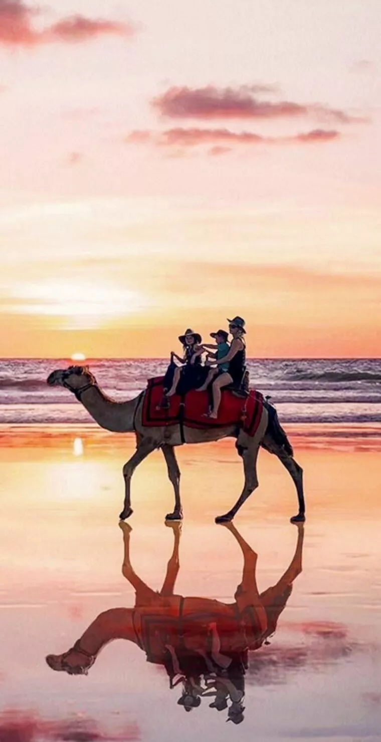 子どもが欲しい理由での婚活はアリ？ナシ？