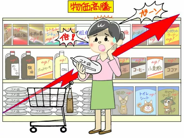 物価高騰で生活が激変？婚活中に考える“お金の備え”