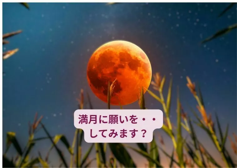 満月に願いを？？ご縁結びを願ってもいいですよね🌕たぶん