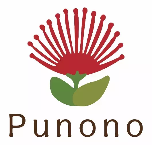 ブライダルPunono（プノノ）「結婚相談所Punono流：ユング心理学から見た婚活の極意」- 2