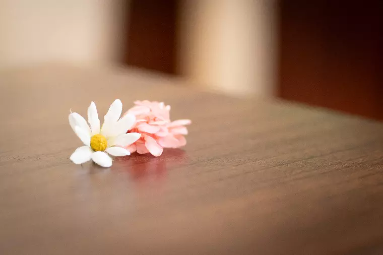 結婚したいと思えない。そんな自分に罪悪感を抱かなくていい