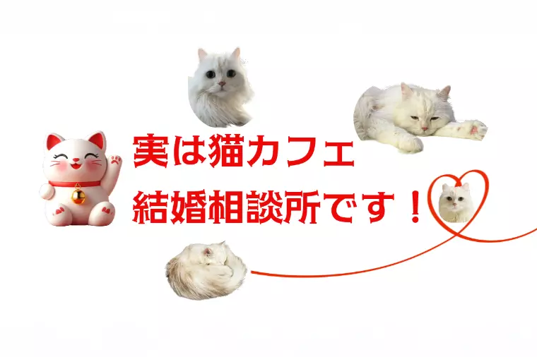 『東京えんむすび 招福萬来』は猫カフェ結婚相談所！
