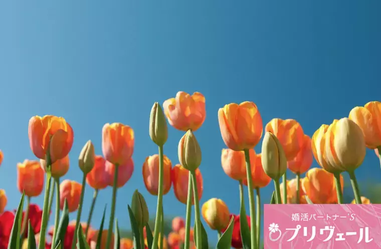 結婚相談所プリヴェール「恋愛経験ゼロの40代男性が結婚をつかんだ方法」- 5