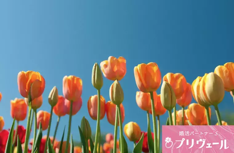 結婚相談所プリヴェール「食べ物の好みが違うカップルはうまくいく？」- 3