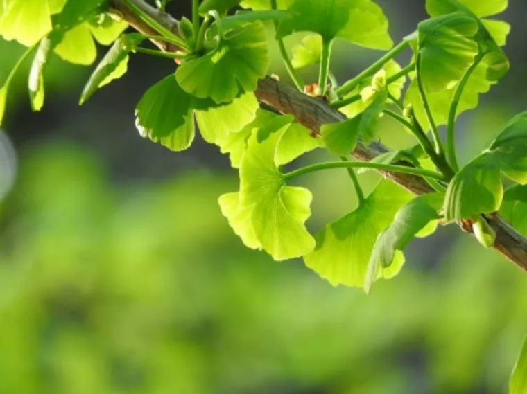 婚活に適したシーズンになりました！